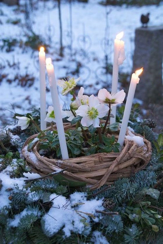 Imbolc, una festa mai scomparsa